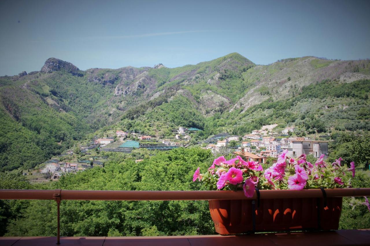 Tra I Monti Bed & Breakfast Tramonti Eksteriør bilde