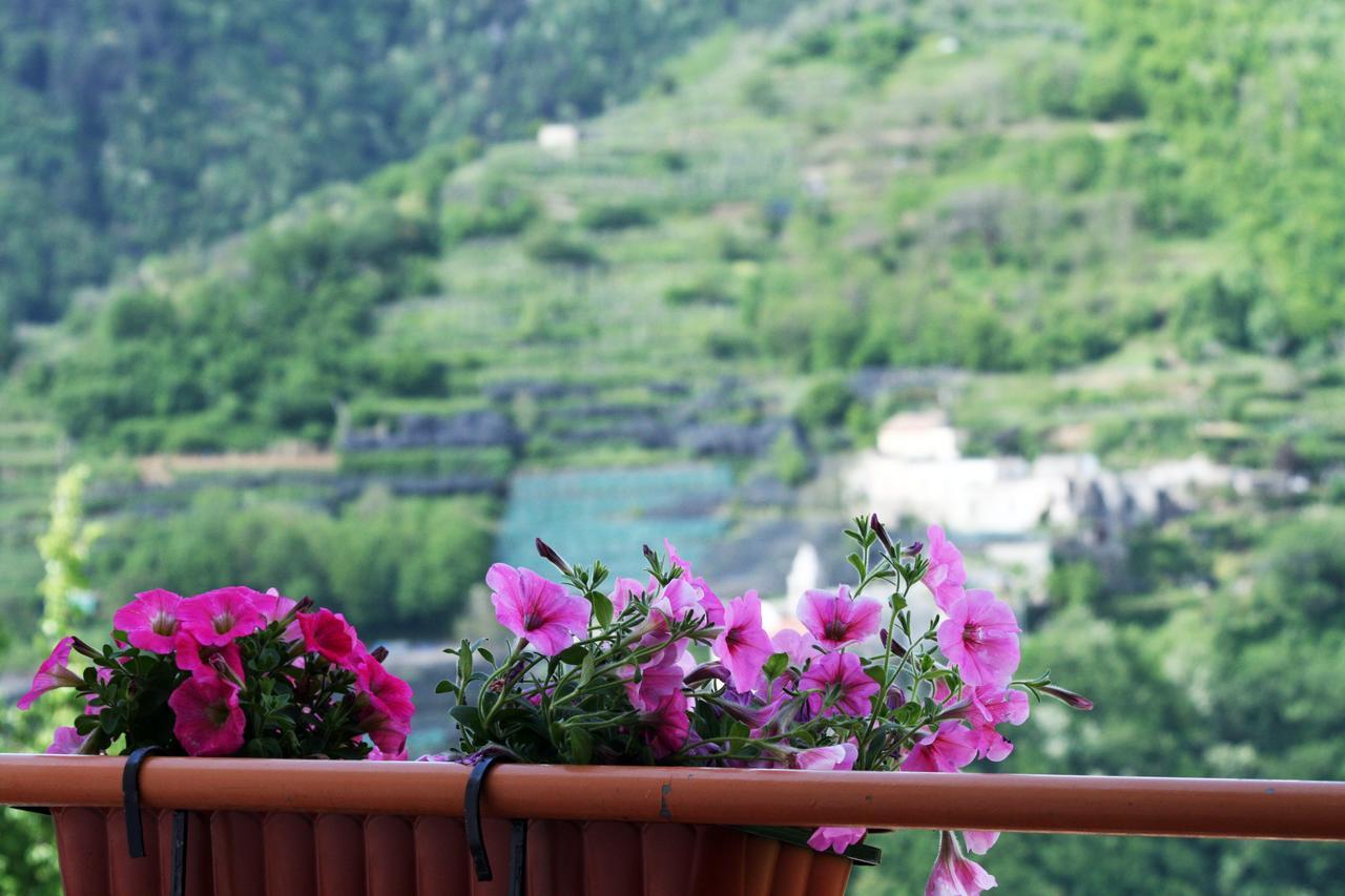 Tra I Monti Bed & Breakfast Tramonti Eksteriør bilde
