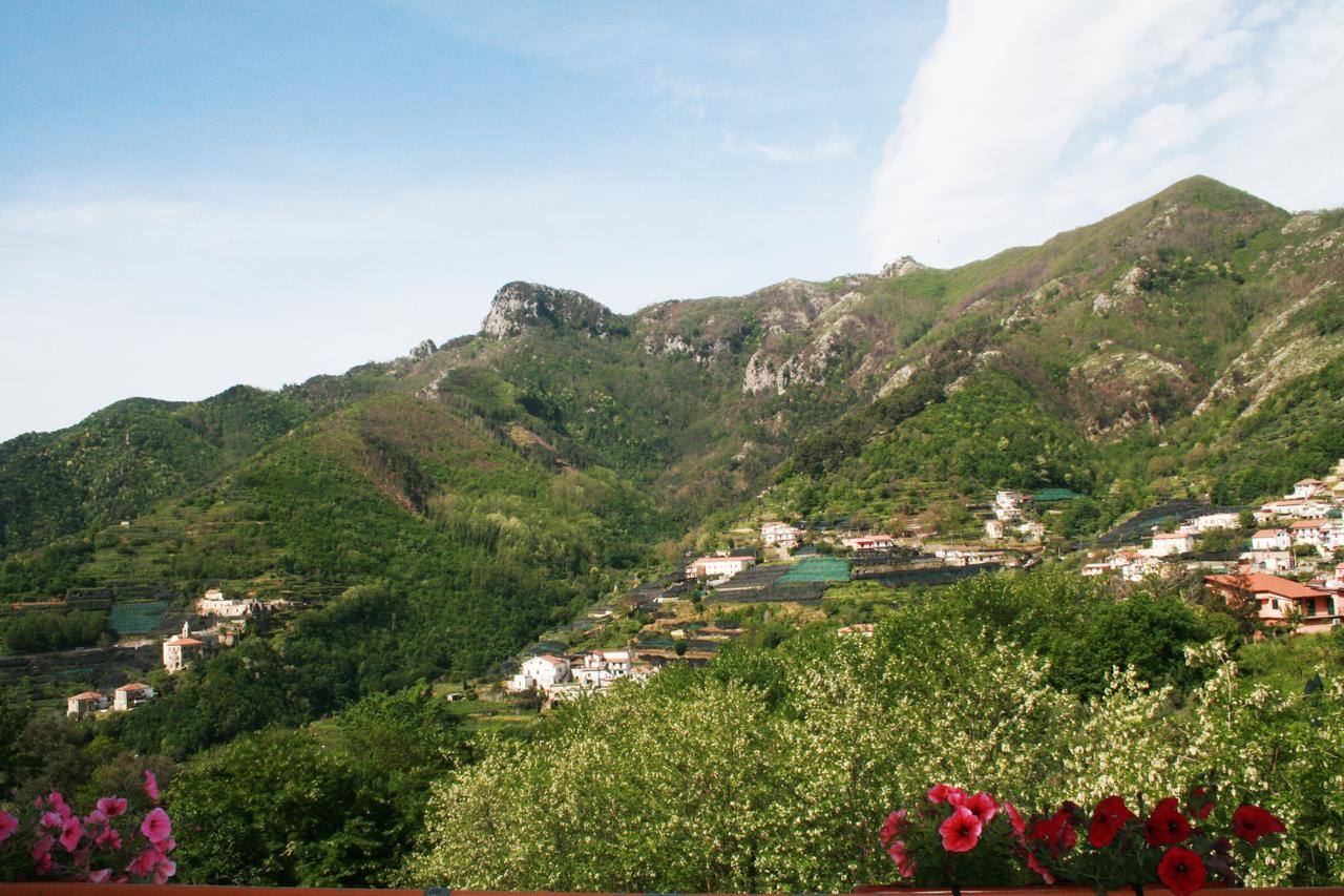 Tra I Monti Bed & Breakfast Tramonti Eksteriør bilde
