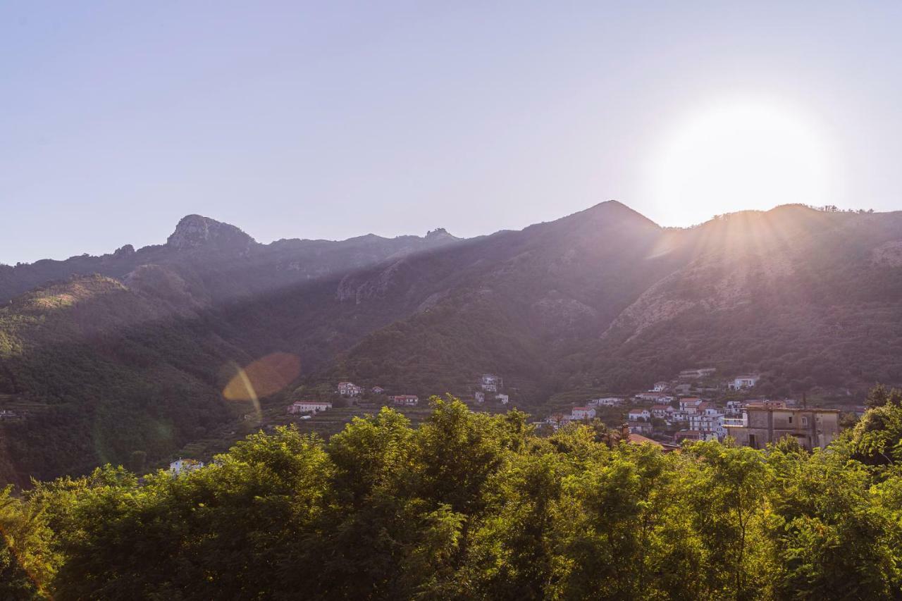 Tra I Monti Bed & Breakfast Tramonti Eksteriør bilde